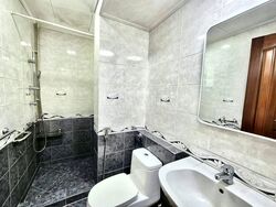 Spring Grove (D10), Condominium #606473251